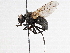  ( - BIOUG56826-B07)  @11 [ ] CreativeCommons - Attribution (2021) CBG Photography Group Centre for Biodiversity Genomics