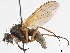  ( - BIOUG56826-C03)  @11 [ ] CreativeCommons - Attribution (2021) CBG Photography Group Centre for Biodiversity Genomics