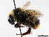  ( - BIOUG56827-H10)  @11 [ ] CreativeCommons - Attribution (2021) CBG Photography Group Centre for Biodiversity Genomics
