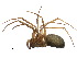  ( - CCDB-24287-E01)  @11 [ ] CreativeCommons - Attribution (2015) CBG Photography Group Centre for Biodiversity Genomics