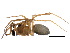  ( - CCDB-24287-G12)  @11 [ ] CreativeCommons - Attribution (2015) CBG Photography Group Centre for Biodiversity Genomics