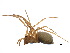  ( - CCDB-24287-H05)  @11 [ ] CreativeCommons - Attribution (2015) CBG Photography Group Centre for Biodiversity Genomics