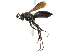 ( - CCDB-24289-H02)  @13 [ ] CreativeCommons - Attribution (2015) CBG Photography Group Centre for Biodiversity Genomics