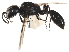  ( - CCDB-28918-C11)  @14 [ ] CreativeCommons - Attribution (2015) CBG Photography Group Centre for Biodiversity Genomics