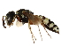  ( - CCDB-28918-E06)  @14 [ ] CreativeCommons - Attribution (2015) CBG Photography Group Centre for Biodiversity Genomics