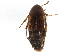  ( - CCDB-28919-D03)  @11 [ ] CreativeCommons - Attribution (2015) CBG Photography Group Centre for Biodiversity Genomics