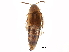  ( - CCDB-28919-D04)  @11 [ ] CreativeCommons - Attribution (2015) CBG Photography Group Centre for Biodiversity Genomics