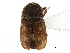  ( - CCDB-28920-H04)  @11 [ ] CreativeCommons - Attribution (2015) CBG Photography Group Centre for Biodiversity Genomics