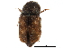  ( - CCDB-28920-H06)  @11 [ ] CreativeCommons - Attribution (2015) CBG Photography Group Centre for Biodiversity Genomics
