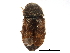  ( - CCDB-28920-H07)  @11 [ ] CreativeCommons - Attribution (2015) CBG Photography Group Centre for Biodiversity Genomics