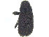  ( - CCDB-28924-A05)  @11 [ ] CreativeCommons - Attribution (2015) CBG Photography Group Centre for Biodiversity Genomics