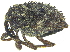  ( - CCDB-28924-F02)  @11 [ ] CreativeCommons - Attribution (2015) CBG Photography Group Centre for Biodiversity Genomics