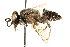  ( - CCDB-28926-B12)  @14 [ ] CreativeCommons - Attribution (2015) CBG Photography Group Centre for Biodiversity Genomics