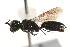  ( - CCDB-28926-E05)  @11 [ ] CreativeCommons - Attribution (2015) CBG Photography Group Centre for Biodiversity Genomics