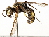  ( - CCDB-28927-B02)  @13 [ ] CreativeCommons - Attribution (2015) CBG Photography Group Centre for Biodiversity Genomics