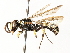  ( - CCDB-28927-B04)  @15 [ ] CreativeCommons - Attribution (2015) CBG Photography Group Centre for Biodiversity Genomics