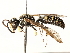  ( - CCDB-28927-B06)  @15 [ ] CreativeCommons - Attribution (2015) CBG Photography Group Centre for Biodiversity Genomics