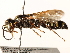  ( - CCDB-28927-B07)  @13 [ ] CreativeCommons - Attribution (2015) CBG Photography Group Centre for Biodiversity Genomics