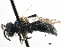  ( - CCDB-28927-D02)  @13 [ ] CreativeCommons - Attribution (2015) CBG Photography Group Centre for Biodiversity Genomics