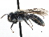  ( - CCDB-28927-D05)  @13 [ ] CreativeCommons - Attribution (2015) CBG Photography Group Centre for Biodiversity Genomics
