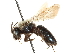  ( - CCDB-28927-F02)  @11 [ ] CreativeCommons - Attribution (2015) CBG Photography Group Centre for Biodiversity Genomics