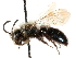  ( - CCDB-28927-F03)  @11 [ ] CreativeCommons - Attribution (2015) CBG Photography Group Centre for Biodiversity Genomics