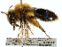  ( - CCDB-28927-F05)  @11 [ ] CreativeCommons - Attribution (2015) CBG Photography Group Centre for Biodiversity Genomics