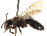  ( - CCDB-28927-F10)  @11 [ ] CreativeCommons - Attribution (2015) CBG Photography Group Centre for Biodiversity Genomics