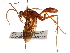  ( - CCDB-28927-H02)  @11 [ ] CreativeCommons - Attribution (2015) CBG Photography Group Centre for Biodiversity Genomics
