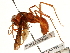  ( - CCDB-28927-H05)  @11 [ ] CreativeCommons - Attribution (2015) CBG Photography Group Centre for Biodiversity Genomics