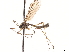  ( - CCDB-35814-B01)  @11 [ ] CreativeCommons - Attribution (2020) CBG Photography Group Centre for Biodiversity Genomics