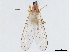  ( - CCDB-35814-F01)  @11 [ ] CreativeCommons - Attribution (2020) CBG Photography Group Centre for Biodiversity Genomics