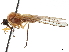  ( - CCDB-35814-F01)  @11 [ ] CreativeCommons - Attribution (2020) CBG Photography Group Centre for Biodiversity Genomics