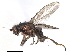  ( - CCDB-35914-C05)  @11 [ ] CreativeCommons - Attribution (2020) CBG Photography Group Centre for Biodiversity Genomics