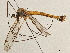  ( - CCDB-35914-G05)  @11 [ ] CreativeCommons - Attribution (2020) CBG Photography Group Centre for Biodiversity Genomics