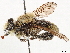  ( - CCDB-35915-G03)  @11 [ ] CreativeCommons - Attribution (2020) CBG Photography Group Centre for Biodiversity Genomics