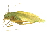  ( - BIOUG02792-B02)  @13 [ ] CreativeCommons - Attribution (2012) CBG Photography Group Centre for Biodiversity Genomics
