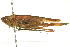  ( - BIOUG02792-C12)  @14 [ ] CreativeCommons - Attribution (2012) CBG Photography Group Centre for Biodiversity Genomics