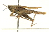  ( - BIOUG02790-B04)  @14 [ ] CreativeCommons - Attribution (2012) CBG Photography Group Centre for Biodiversity Genomics