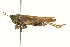  ( - BIOUG02790-B05)  @13 [ ] CreativeCommons - Attribution (2012) CBG Photography Group Centre for Biodiversity Genomics
