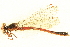  ( - BIOUG02811-B10)  @11 [ ] CreativeCommons - Attribution (2012) CBG Photography Group Centre for Biodiversity Genomics