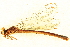  ( - BIOUG02811-B11)  @11 [ ] CreativeCommons - Attribution (2012) CBG Photography Group Centre for Biodiversity Genomics