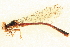  ( - BIOUG02811-B12)  @11 [ ] CreativeCommons - Attribution (2012) CBG Photography Group Centre for Biodiversity Genomics