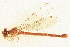  ( - BIOUG02811-C01)  @11 [ ] CreativeCommons - Attribution (2012) CBG Photography Group Centre for Biodiversity Genomics