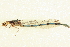  ( - BIOUG02811-C03)  @11 [ ] CreativeCommons - Attribution (2012) CBG Photography Group Centre for Biodiversity Genomics