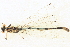  ( - BIOUG02811-D10)  @11 [ ] CreativeCommons - Attribution (2012) CBG Photography Group Centre for Biodiversity Genomics