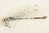  ( - BIOUG02811-D11)  @11 [ ] CreativeCommons - Attribution (2012) CBG Photography Group Centre for Biodiversity Genomics