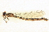  ( - BIOUG02811-E01)  @11 [ ] CreativeCommons - Attribution (2012) CBG Photography Group Centre for Biodiversity Genomics