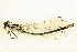  ( - BIOUG02811-E02)  @11 [ ] CreativeCommons - Attribution (2012) CBG Photography Group Centre for Biodiversity Genomics