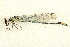  ( - BIOUG02811-E05)  @11 [ ] CreativeCommons - Attribution (2012) CBG Photography Group Centre for Biodiversity Genomics